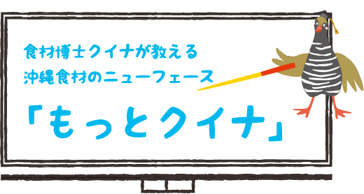 食材博士クイナが教える沖縄食材のニューフェース「もっとクイナ」
