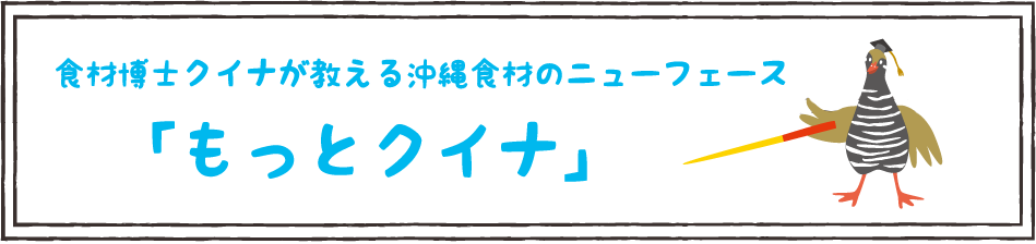 食材博士クイナが教える沖縄食材のニューフェース「もっとクイナ」