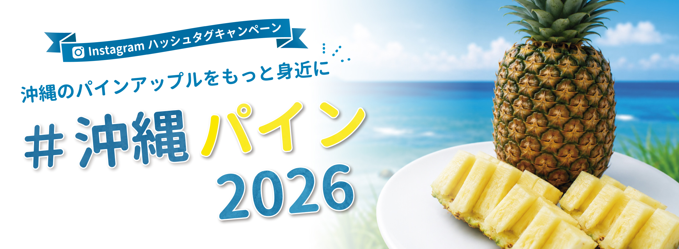 沖縄産パイン SNSキャンペーン