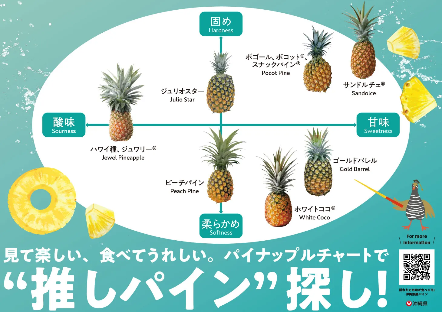 パインチャート
