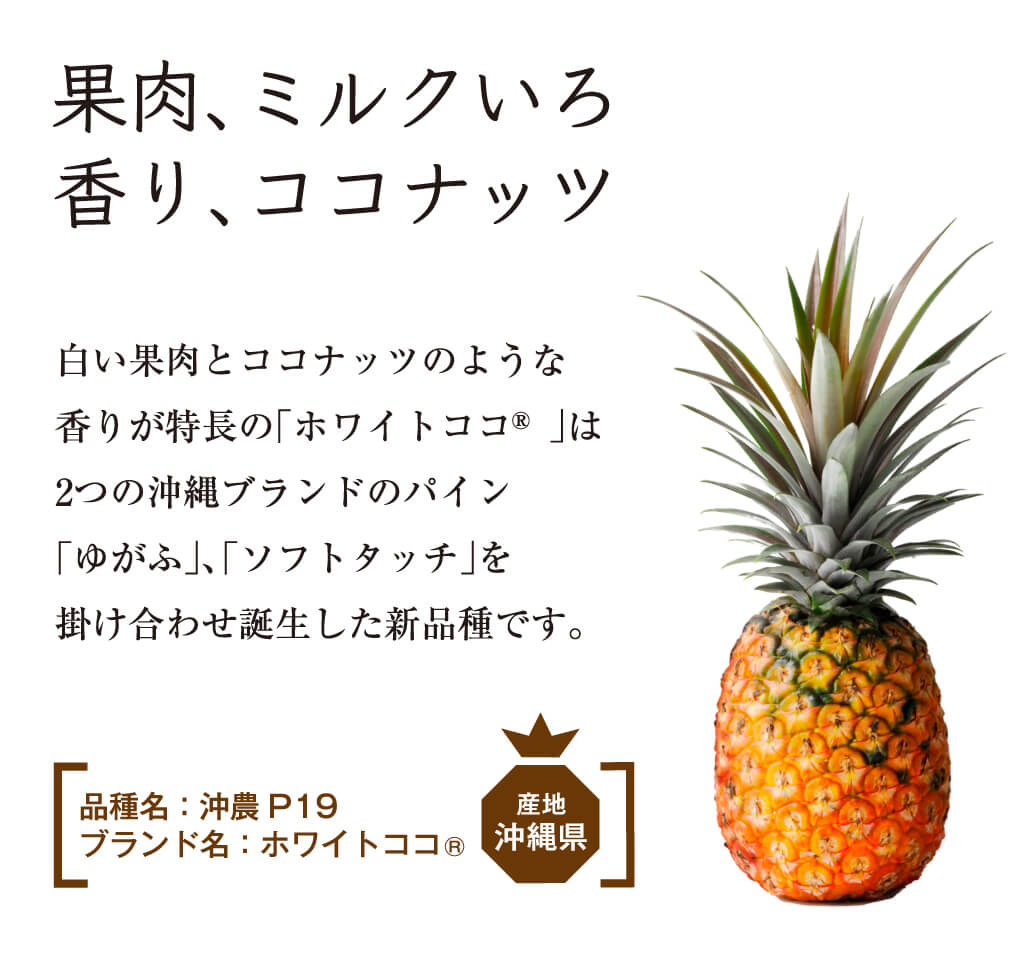 果肉、ミルクいろ。香り、ココナッツ。白い果肉とココナッツのような香りが特長の「ホワイトココ®」は2つの沖縄ブランドのパイン「ゆがふ」、「ソフトタッチ」を掛け合わせ誕生した新品種です。品種名：沖農P19。ブランド名：ホワイトココ®。産地沖縄県。
