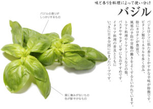 バジル