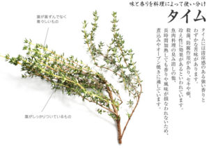 タイム
