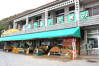大宜味村農村活性化センター 大宜味農産物直売所の写真1