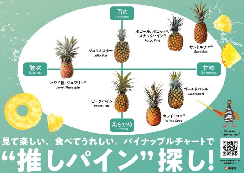 【無害化実施】パインチャートB3のサムネイル