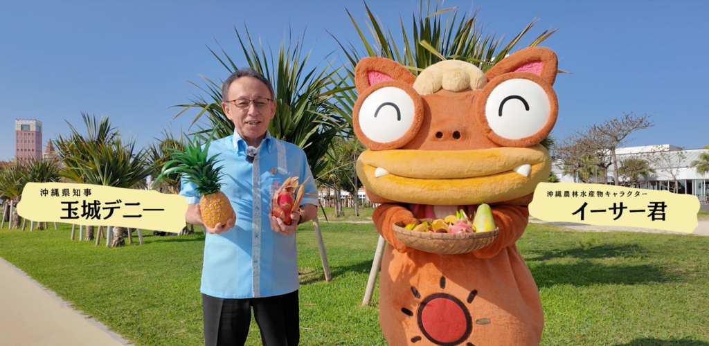 トロピカルフルーツの季節がやってきました🍍