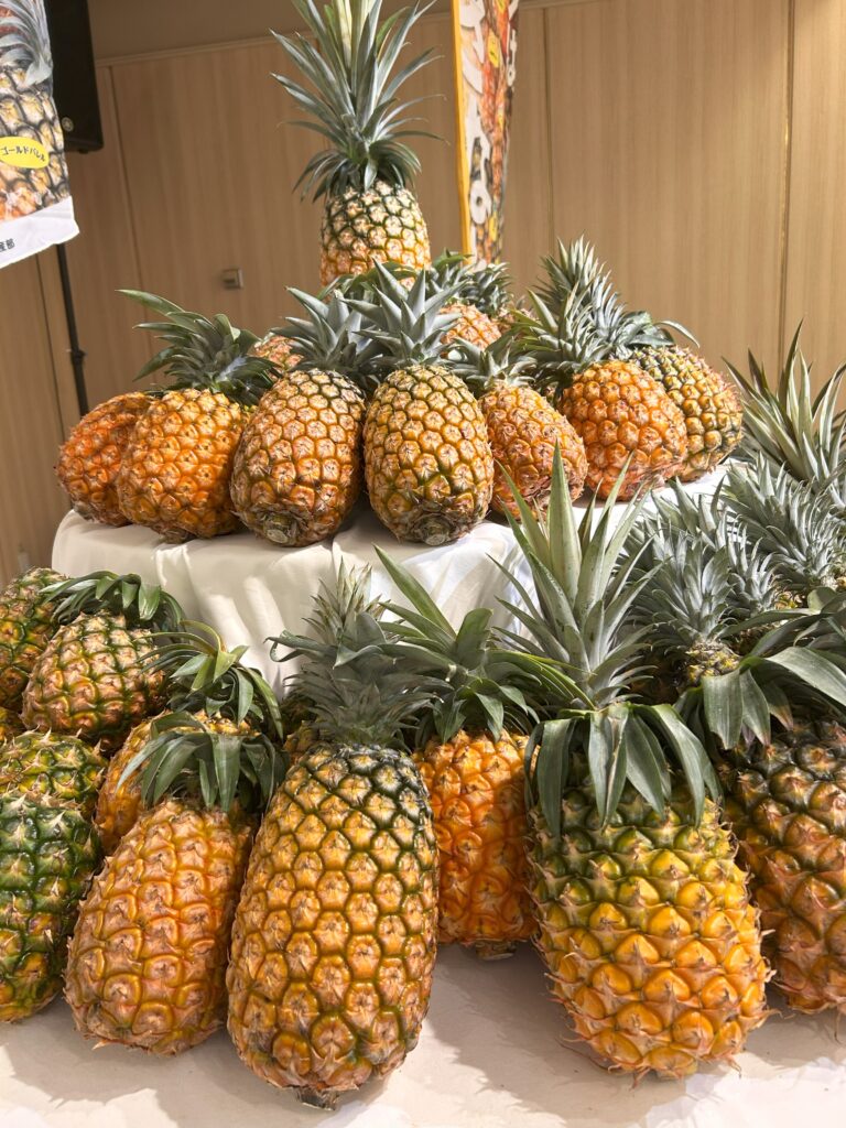 🍍沖縄県産パインアップルイベント「ひと口で、満たされる沖縄県産パインアップル ～“推しパイン”探し～🍍